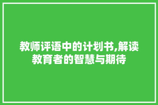 教师评语中的计划书,解读教育者的智慧与期待