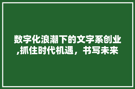 数字化浪潮下的文字系创业,抓住时代机遇，书写未来篇章