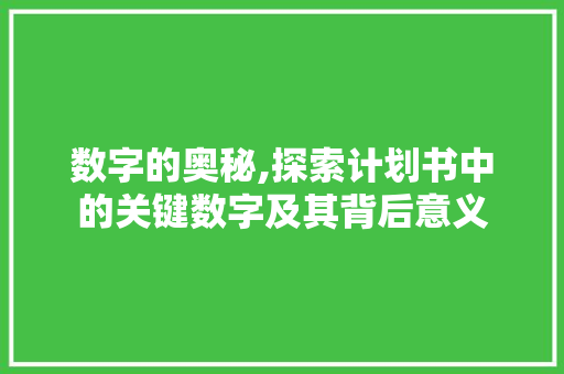 数字的奥秘,探索计划书中的关键数字及其背后意义