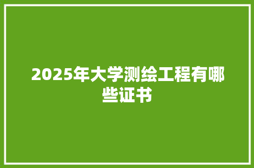 2025年大学测绘工程有哪些证书