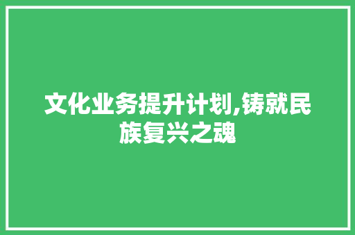 文化业务提升计划,铸就民族复兴之魂