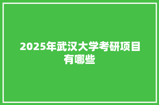 2025年武汉大学考研项目有哪些