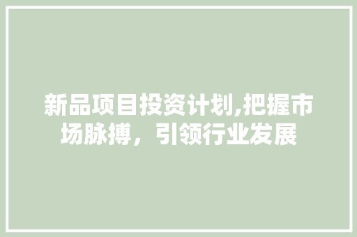 新品项目投资计划,把握市场脉搏，引领行业发展