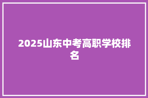 2025山东中考高职学校排名