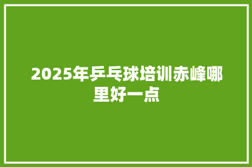 2025年乒乓球培训赤峰哪里好一点