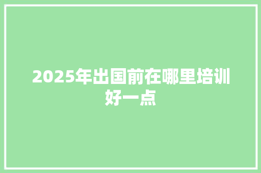 2025年出国前在哪里培训好一点
