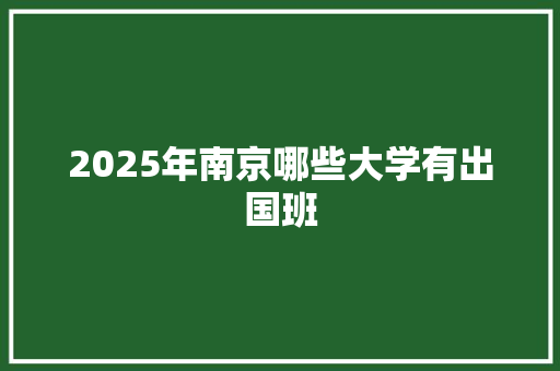2025年南京哪些大学有出国班