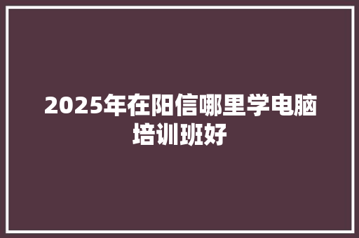 2025年在阳信哪里学电脑培训班好
