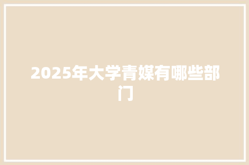 2025年大学青媒有哪些部门
