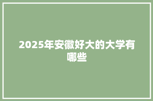 2025年安徽好大的大学有哪些
