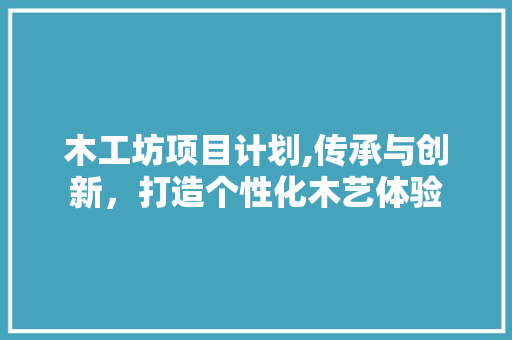 木工坊项目计划,传承与创新，打造个性化木艺体验