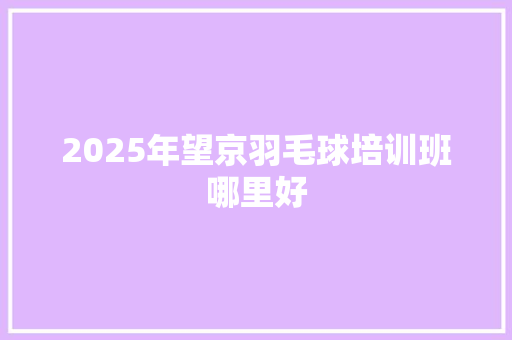 2025年望京羽毛球培训班哪里好