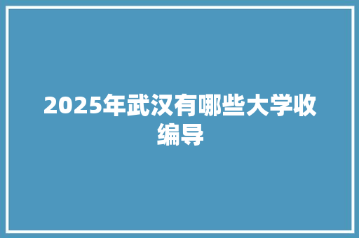 2025年武汉有哪些大学收编导 商业文稿