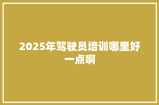 2025年驾驶员培训哪里好一点啊