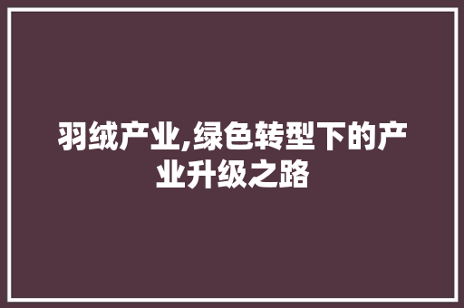 羽绒产业,绿色转型下的产业升级之路