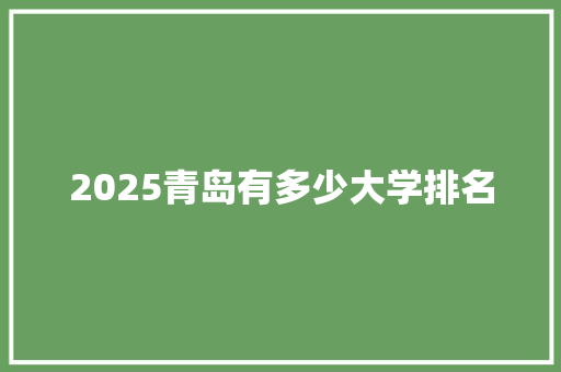 2025青岛有多少大学排名