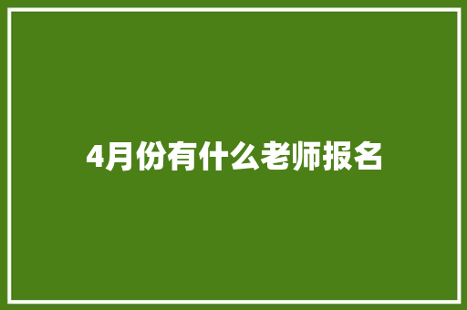 4月份有什么老师报名 商业文稿