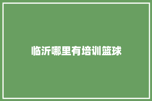 临沂哪里有培训篮球