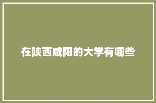 在陕西咸阳的大学有哪些