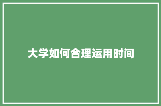 大学如何合理运用时间 工作总结
