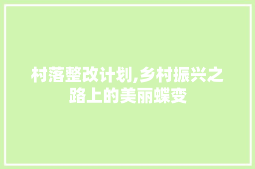 村落整改计划,乡村振兴之路上的美丽蝶变