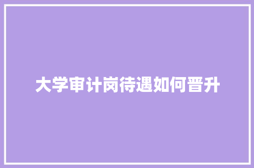 大学审计岗待遇如何晋升