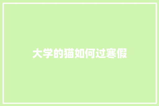 大学的猫如何过寒假 商业文稿