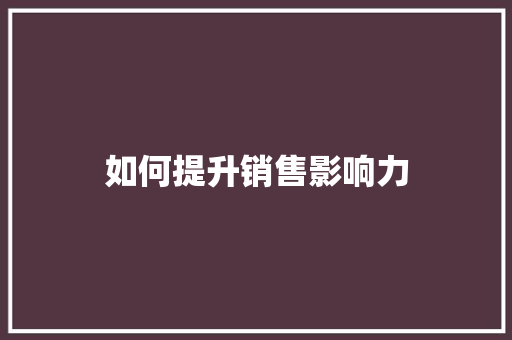 如何提升销售影响力