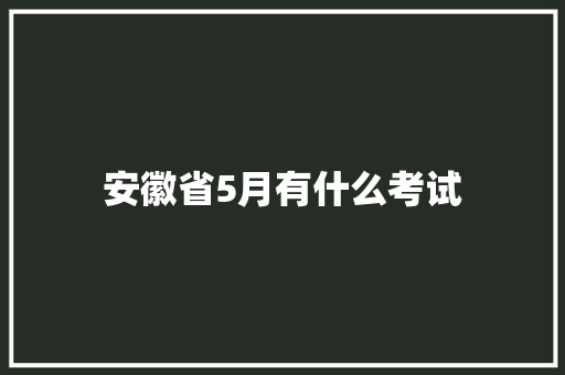安徽省5月有什么考试 工作总结