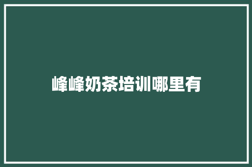 峰峰奶茶培训哪里有