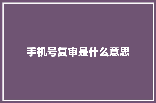 手机号复审是什么意思