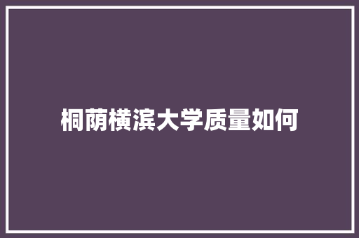 桐荫横滨大学质量如何