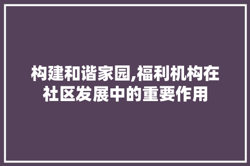 构建和谐家园,福利机构在社区发展中的重要作用
