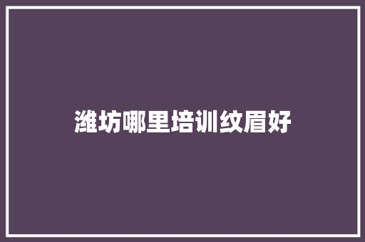 潍坊哪里培训纹眉好 工作类