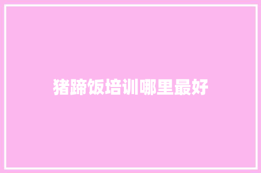 猪蹄饭培训哪里最好 工作报告