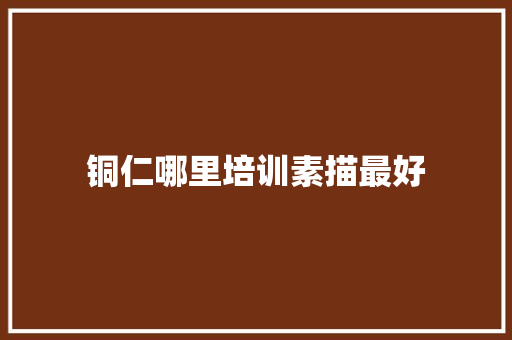 铜仁哪里培训素描最好