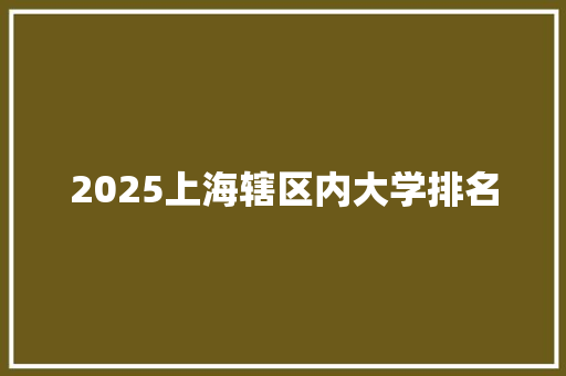 2025上海辖区内大学排名