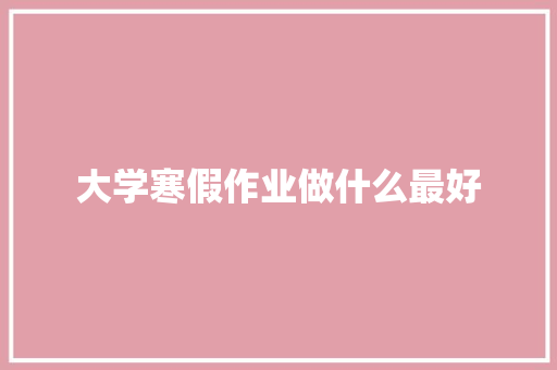 大学寒假作业做什么最好
