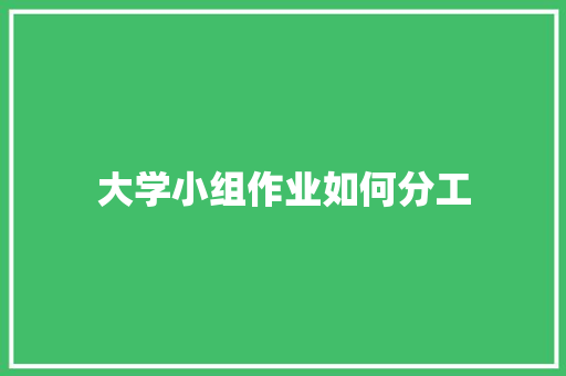 大学小组作业如何分工