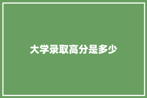 大学录取高分是多少