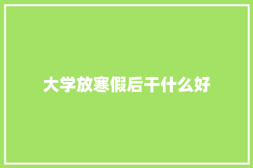 大学放寒假后干什么好