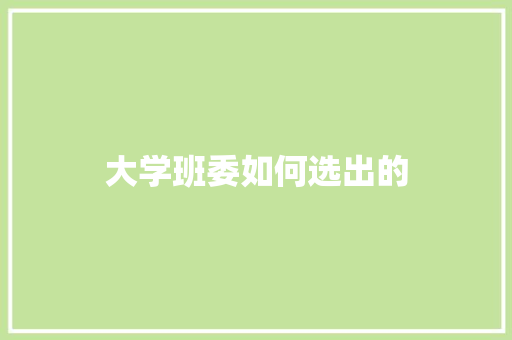大学班委如何选出的
