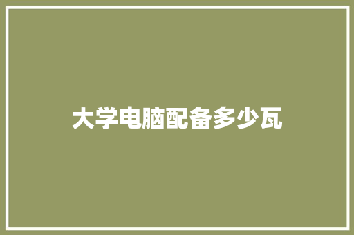 大学电脑配备多少瓦
