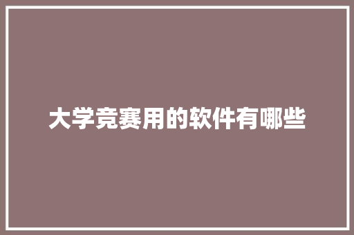 大学竞赛用的软件有哪些 工作报告