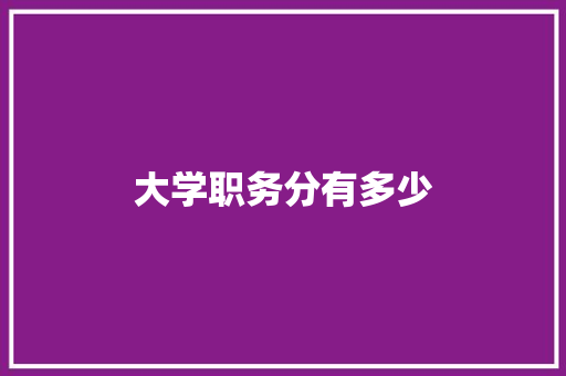 大学职务分有多少