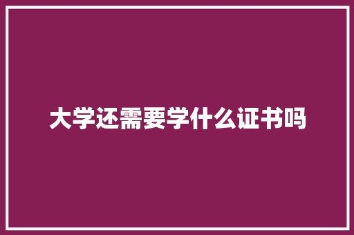 大学还需要学什么证书吗
