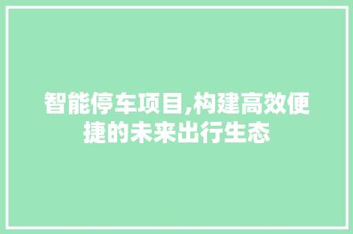 智能停车项目,构建高效便捷的未来出行生态