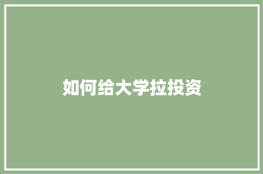 如何给大学拉投资