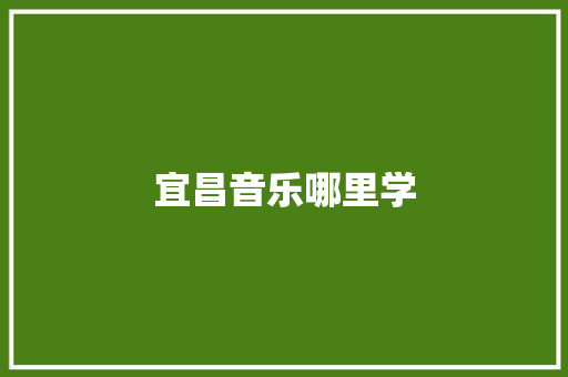 宜昌音乐哪里学