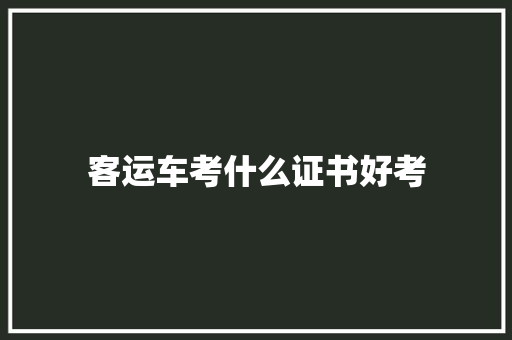 客运车考什么证书好考